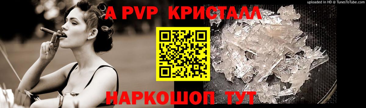 Альфа ПВП СК Ухта